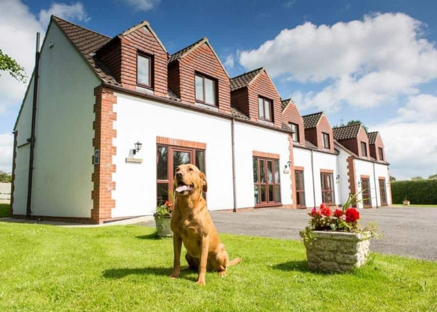 White Rose Country Cottages Thormanby Exterior photo